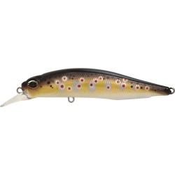ROZANTE 77 SP   CCCZ333 REAL FARIO (UF)