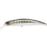 RYUKI 95S SW WT SPEARHEAD   ADA0037 SARDINE NOIR