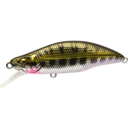 GREAT HUNTING 64 HUMPBACK (FS)   NATURAL VAIRON (SP C)
