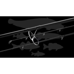 CANNE MAJOR CRAFT CEANA 802L