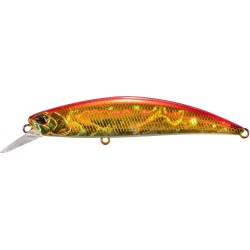 SPEARHEAD RYUKI 80 S - MCC4026