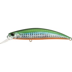 SPEARHEAD RYUKI 80 SW - AQA0283 TIRANGA OB