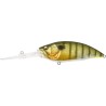 BIG M 7.5 - GLX GALAXY GILL