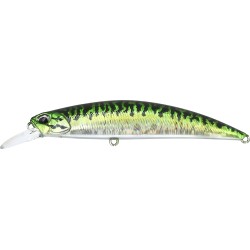 SPEARHEAD RYUKI 80 SW - CPA0263 GREEN MACKEREL