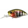 CRANK KABUKI BOTTOM RUSH 48 MR - ADA3058 PRISM GILL