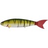 BALAM 245 - PERCH
