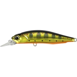 ROZANTE 63 SP GRADE A - MCC4084 GOLD YAMAME