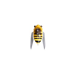 NANO SIGLETT - FF BEE