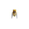 NANO SIGLETT - FF BEE