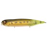 DOG X DIAMANTE SILENT - FROG-CCT