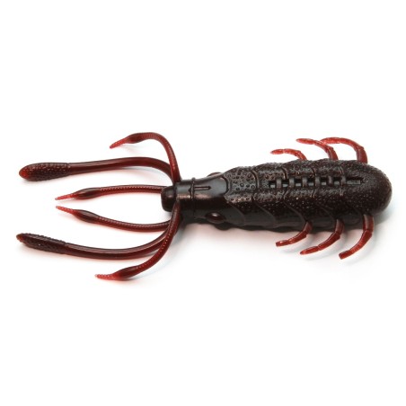 BUKKOMI CRAW - 036 SCUPPERNONG
