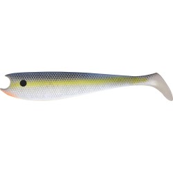 MADSHAD 100 - SEXY SHAD