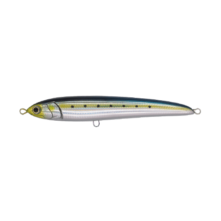 RAPIDO F230 - 1