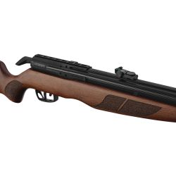 Carabine PCP Gamo RISER Punisher calibre 5.5 mm 40 Joules. cal. 5.5 mm 40 joules