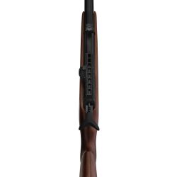 Carabine PCP Gamo RISER Punisher calibre 5.5 mm 40 Joules. cal. 5.5 mm 40 joules