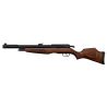 Carabine PCP Gamo RISER Punisher calibre 5.5 mm 40 Joules. cal. 5.5 mm 40 joules