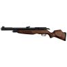 Carabine PCP Gamo RISER Punisher calibre 5.5 mm 40 Joules. cal. 5.5 mm 40 joules
