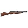 Carabine PCP Gamo RISER Punisher calibre 5.5 mm 40 Joules. cal. 5.5 mm 40 joules