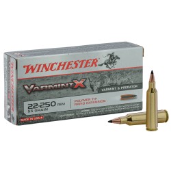 Winchester Cal. 22-250 REM 55gr Soft point bte de 20