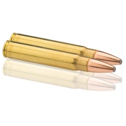 Balle power point super x - Cal. 9. 3x62 286gr Power point bte de 20