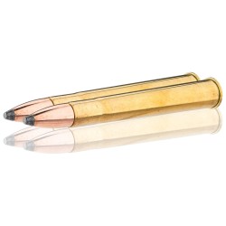 Sologne 9.3 x 74 R 285gr Nosler Partition
