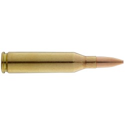 Winchester Cal. . 45 Colt Chasse et Tir bte de 50