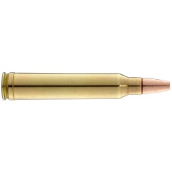 Geco .300 Winchester
