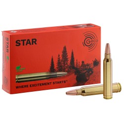 Geco .300 Winchester