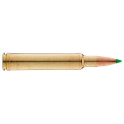 Balles à percussion centrale Sologne .300Weatherby Magnum