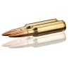 Winchester 6.5 Creedmoor