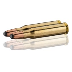 Cartouches Sierra Pro-Hunter FP Cal. 307Win 170 gr