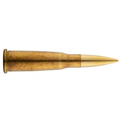 Sologne Klassic 8X51R Lebel 195Grs /20 bte de 20