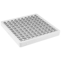 Balles rondes par 100 cal. .31 PN