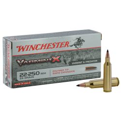 Winchester Cal. 22-250 REM 55gr Jacketed soft point bte de 20