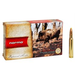 Norma Cal. 300Win 180gr PPDC bte de 20