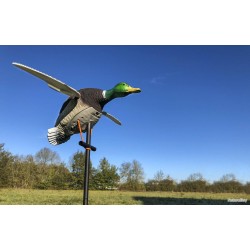 Appelant motorisé électrique canard ailes tournantes
