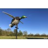 Appelant motorisé électrique canard ailes tournantes
